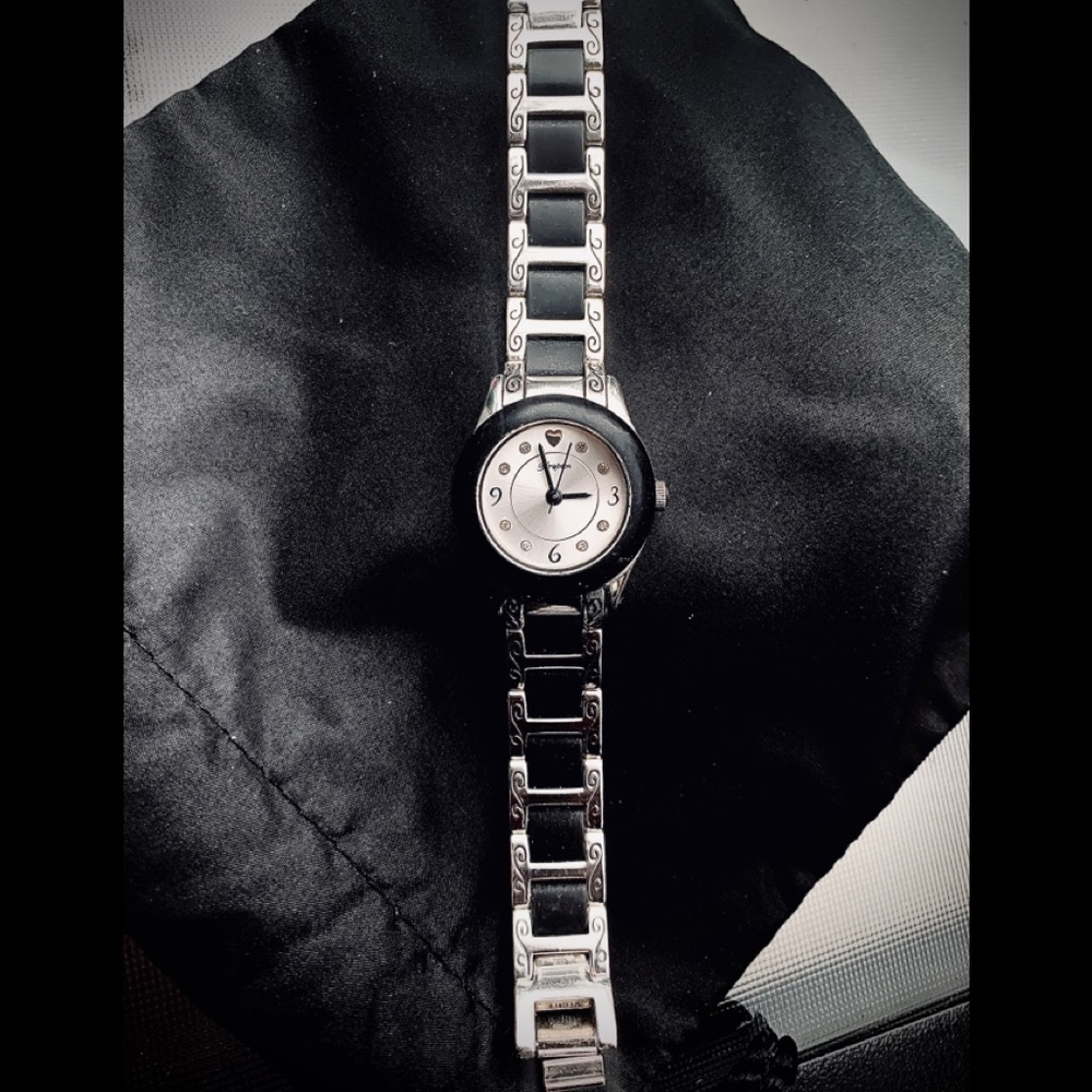 Brighton Watch